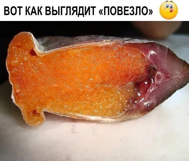 ВОТ КАК ВЫГПЯДИТ ПОВЕЗЛО