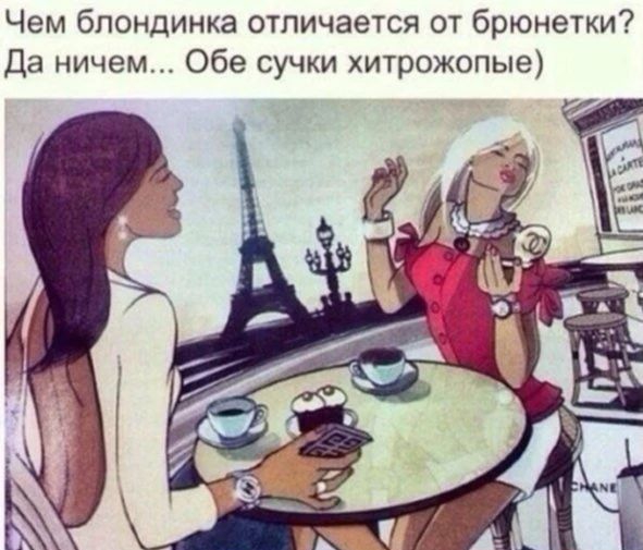 Чем блондинка отличается от брюнетки Да ничем Обе сучки хитрожопые