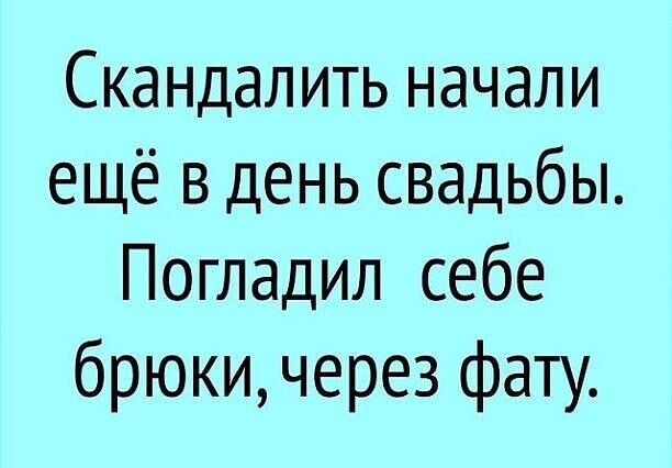 Скандалить начали ещё в день свадьбы Погладил себе брюки через фату
