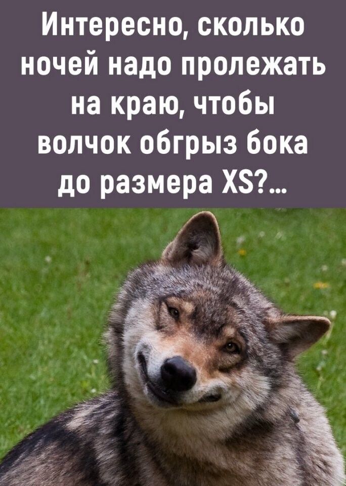 Интересно сколько ночей надо пролежать на краю чтобы волчок обгрыз бока до размера Х