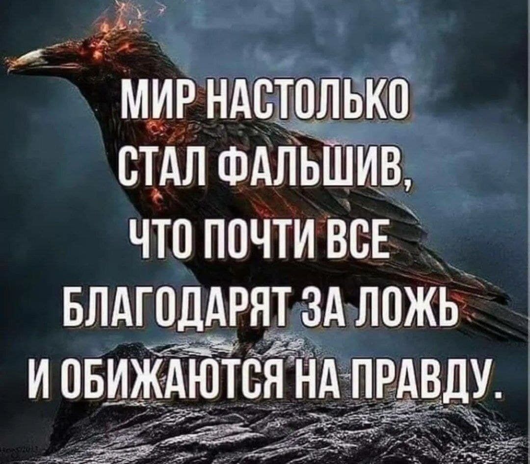 мир ндстолтбд і СТАЛ ФАЛЬШИВЁ ЧТО ПОЧТИ ВСЕ БЛАГОДАРЯТ _ЗА ЛОЖЬ