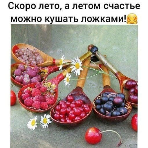 скоро ЛЕТО а ЛеТОМ СЧЗСТЬЕ МОЖНО КУШЭТЬ ЛОЖКЗМИ