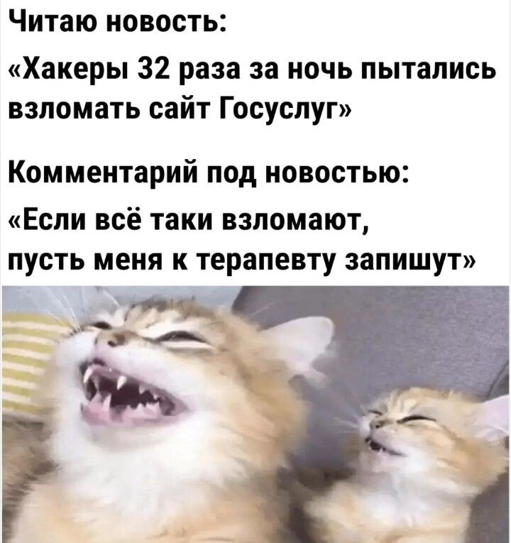 Читаю новость Хакеры 32 раза за ночь пытались взломать сайт Г осуспуг Комментарий под новостью Если всё таки взломают пусть меня к терапевту запишут