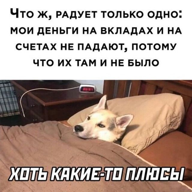 Что ж РАдУЕТ только одно мои деньги НА ВКЛАдАХ и НА СЧЕТАХ нв ПАДАЮТ потому что их ТАМ и НЕ БЫЛО