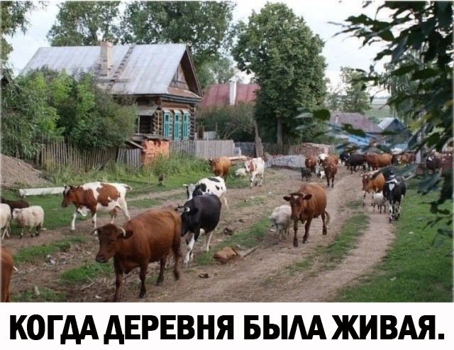 КОГДА АЕРЕВНЯ БЫАА ЖИВАЯ