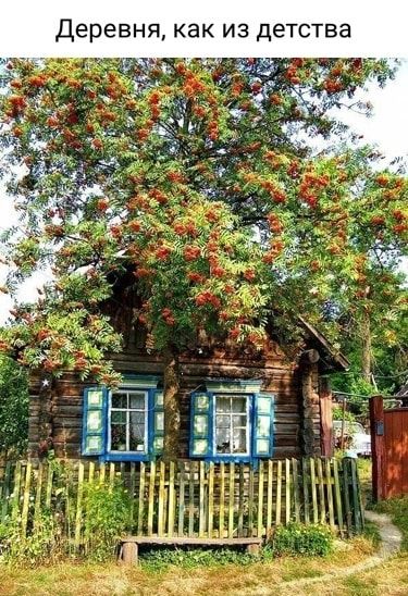 Деревня как из детства