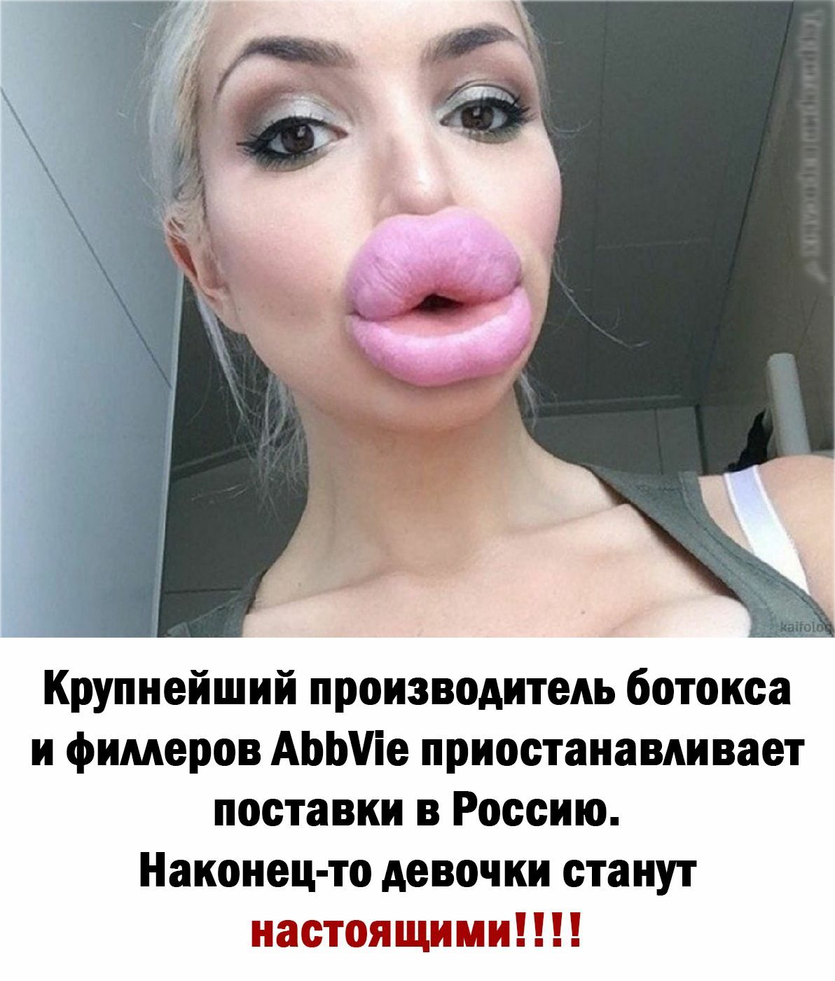 Губки Бантиком Попка