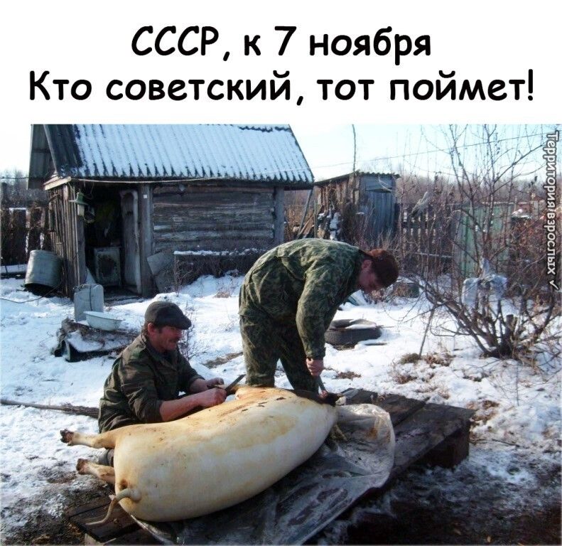 СССР к 7 ноября Кто советский тот поймет