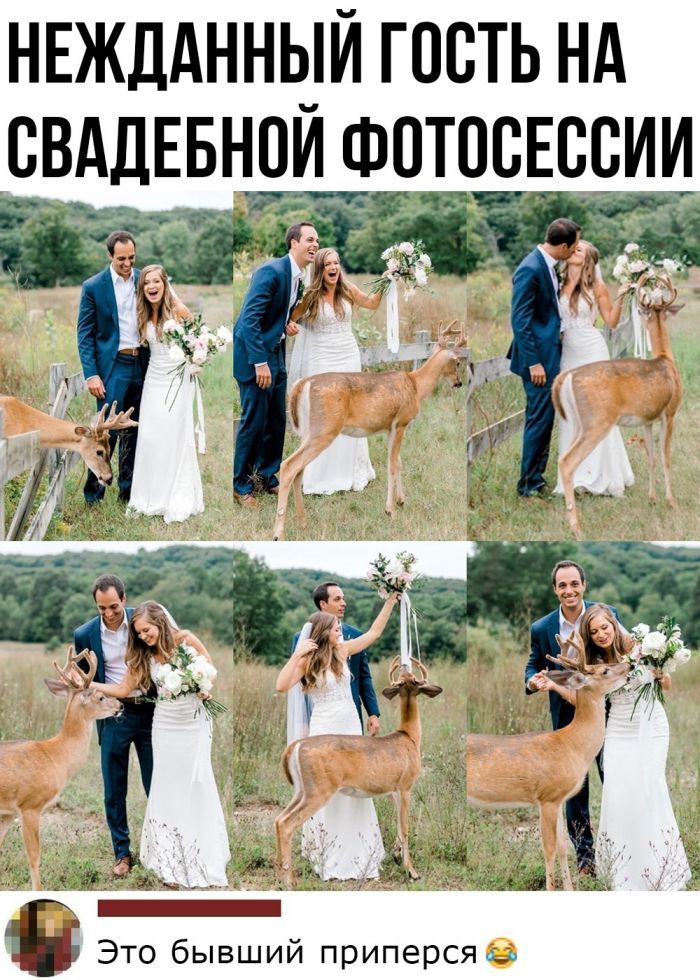 НЕЖДАННЫЙ ГССТЬ НА СВАДЕБНСИ ФОТОСЕССИИ м идти антей в Это бывший приперся