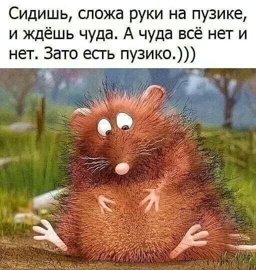 Сидишь сложа руки на пузике и ждёшь чуда А чуда всё нет и нет Зато есгь пузико