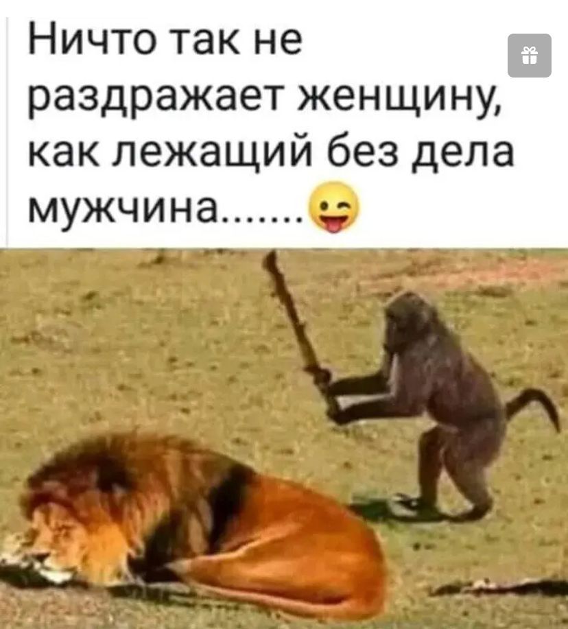Ничто так не раздражает женщину как лежащий без дела МУЖЧИНЭ р _