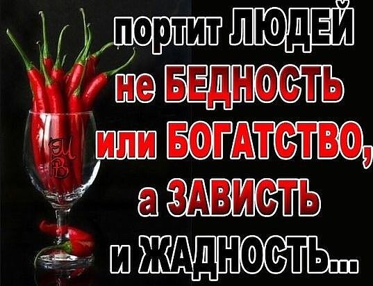 кпп шдшвагльтспо