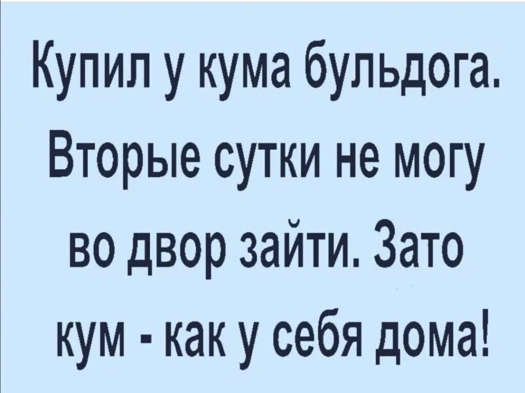 Купип у кума бульдога Вторые сутки не могу во двор зайти Зато кум как у себя дома