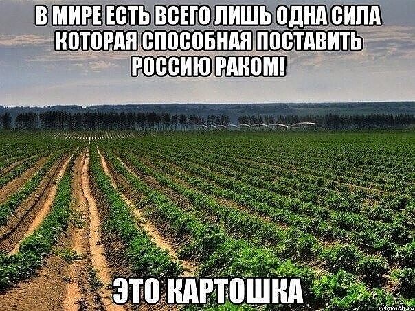 ВШШЩВПЪШБЁЮШЕШЪЩПЩПШШ