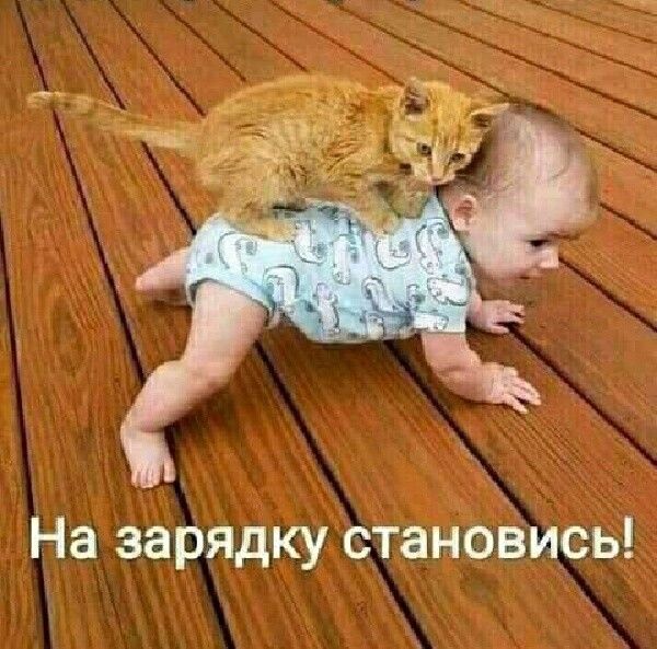 На зарядку становись
