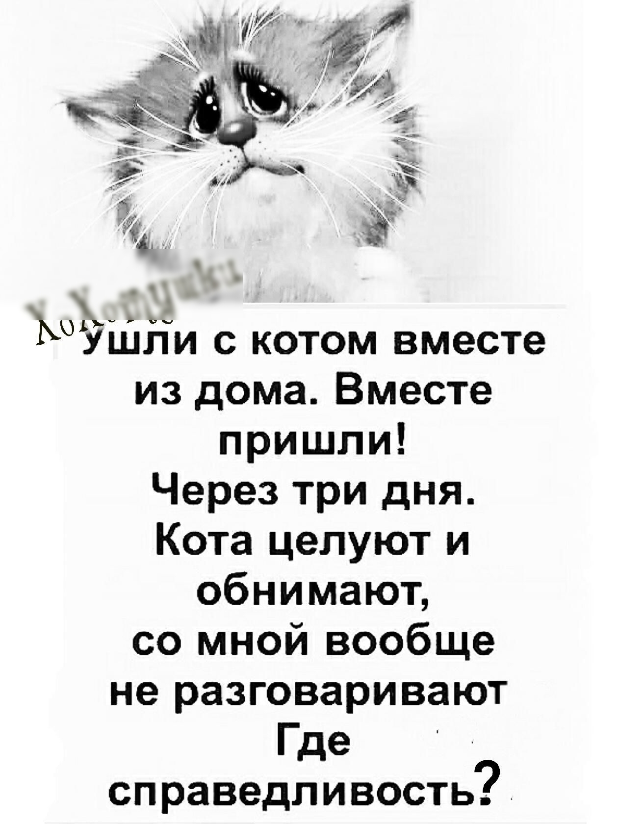 из дома Вместе пришли Через три дня Кота целуют и обнимают со мной вообще не разговаривают Где справедливость
