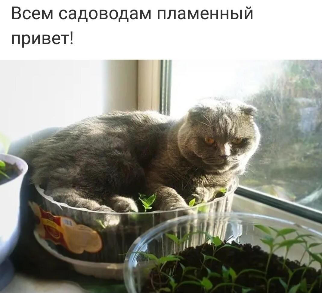 Всем садоводам пламенный привет