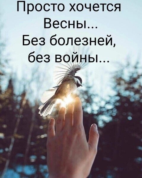 Просто хочется Весньъ Без болезней без войны