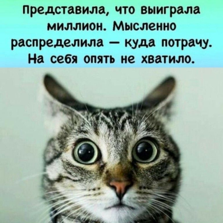 Представила что выиграла миллион Мысленно распределила куда потрачу На себя опять не хватило