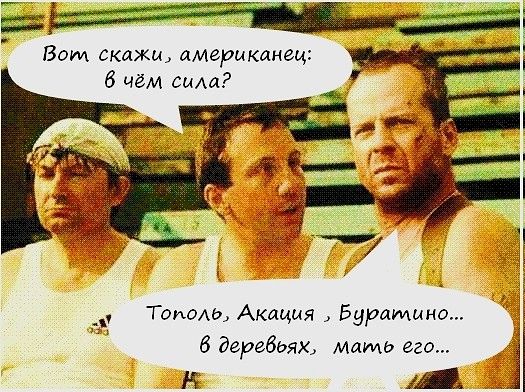 ВОМ СКЛЖИ ИМВРИКИНВці В чём сим Топаш Акация Буратино б деребьях мать его 82 Ш 1