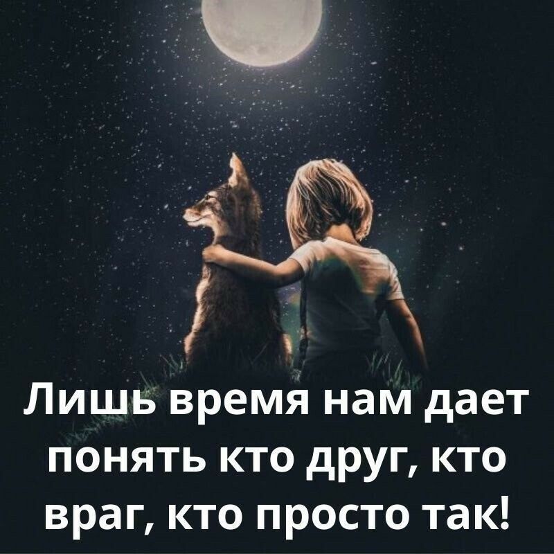 Кто друг кто враг кто просто так картинки