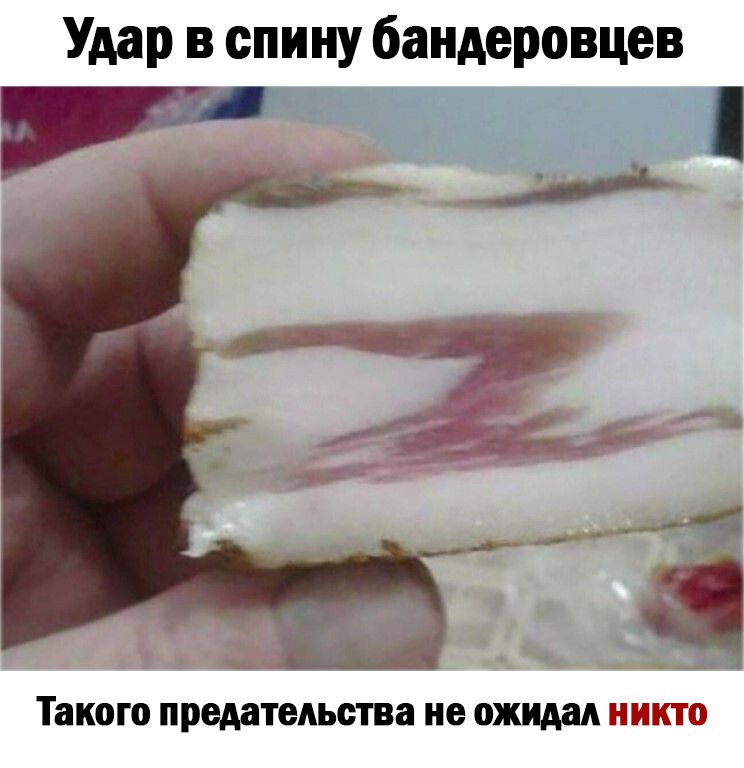 Удар в спину бандеровцев Такого предательства не ОЖИАЗА НИКТО