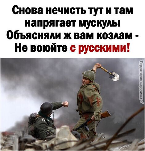 Снова нечисть тут и там напрягает мускулы объясняли ж вам козлам Не воюйте с русскими