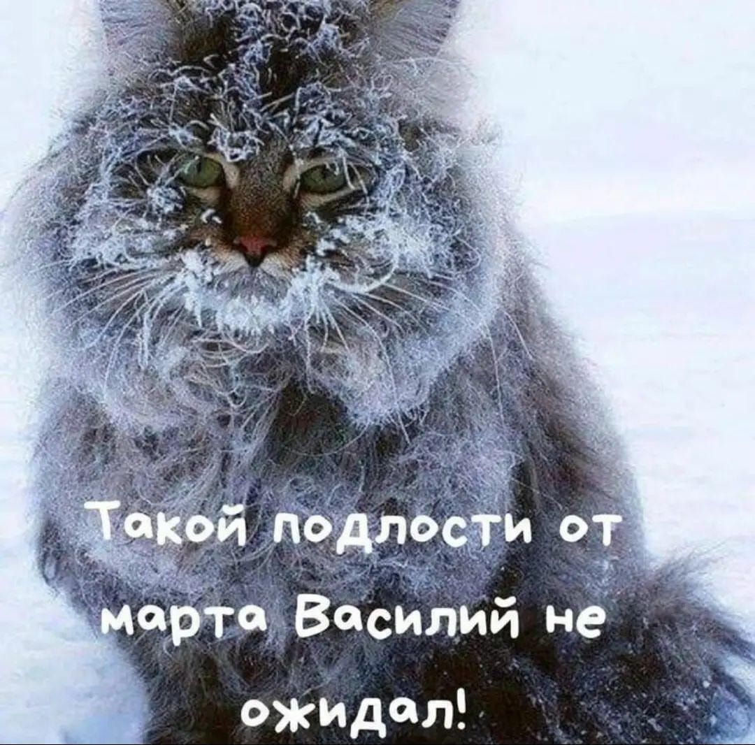 ш арта Вйсилий не ожидал