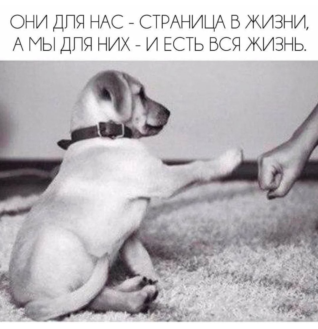ОНИ ДПЯ НАС СТРАНИЦА В ЖИЗНИ А МЫ ДПЯ НИХ И ЕСТЬ ВСЯ ЖИЗНЬ