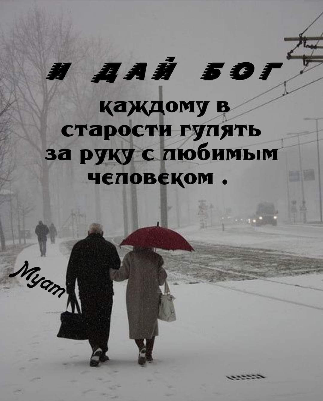э 335 5951г каждому из старости гулять за руку с пюбимым человеком