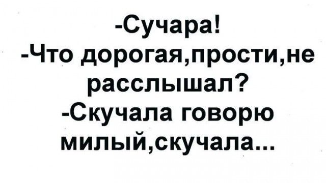 Сучара Что дорогаяпростине расслышал Скучала говорю милыйскучала