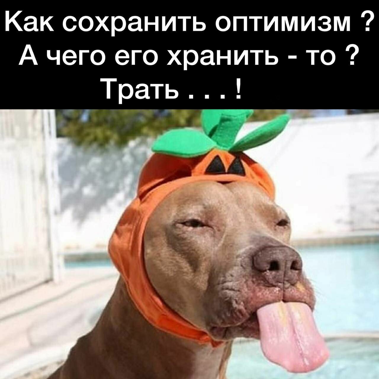 Как сохранить оптимизм А чего его хранить то Трать