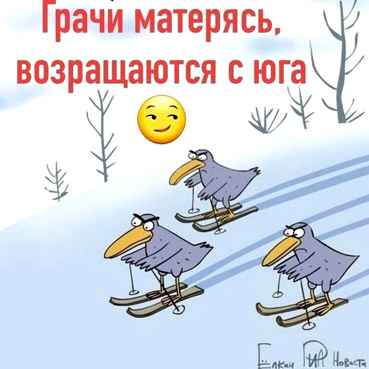 Грачи матерясь возращаются с юга