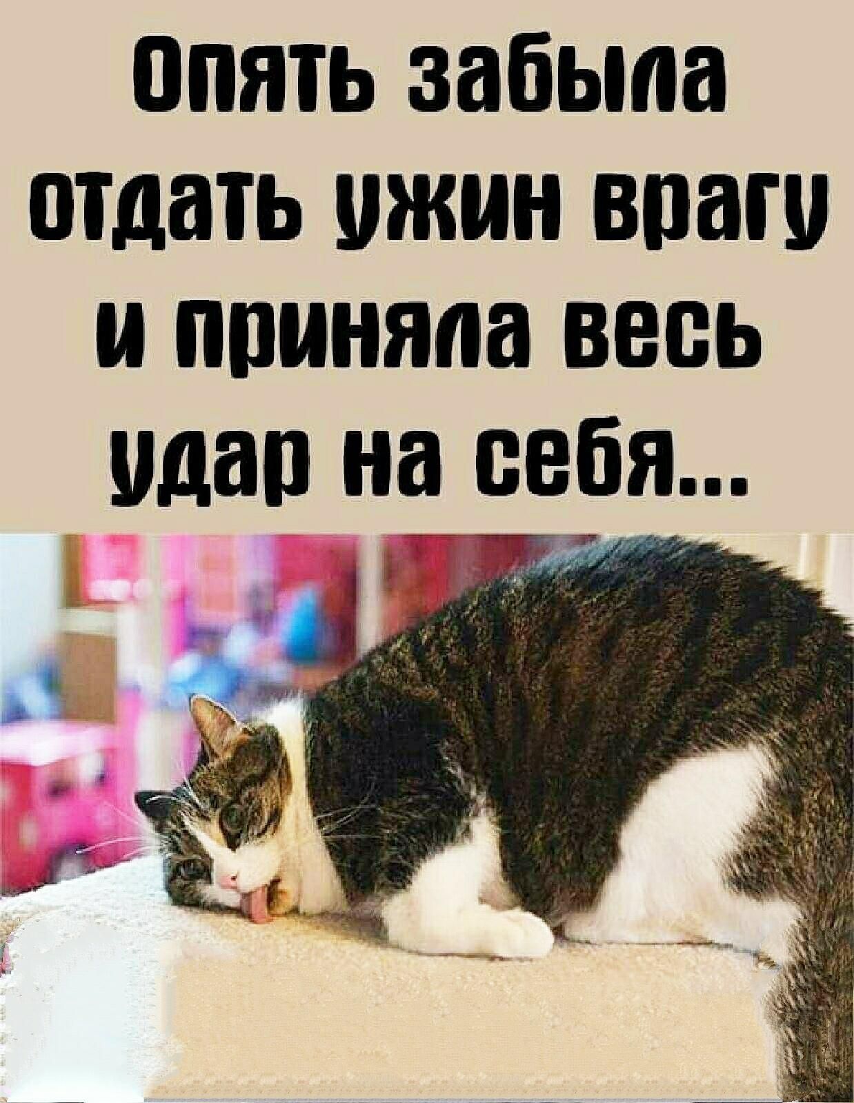 ППЯТЬ забыла отдать ЖИН ВПН И ппиняпа ВЕБЬ план на СЕБЯ