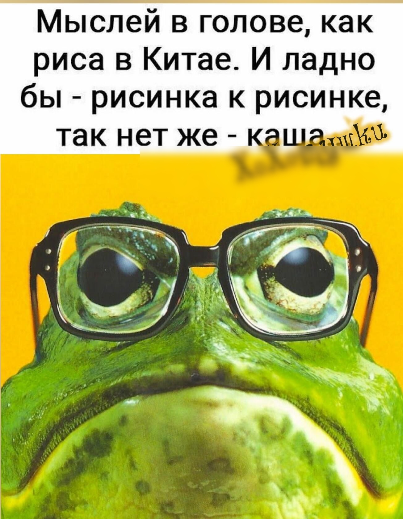 Мыслей в голове как риса в Китае И ладно бы рисинка к рисинке