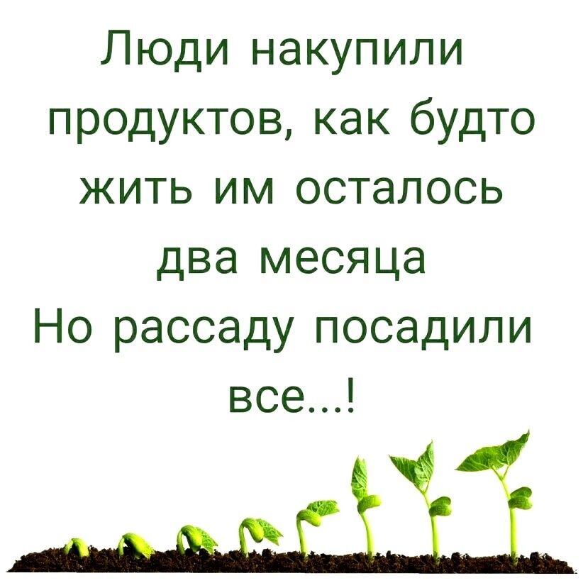 Люди накупили продуктов как будто жить им осталось два месяца Но рассаду посадили все