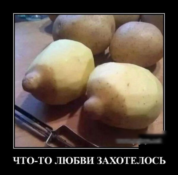 ЧТОТО ЛЮБВИ ЗАХОТЕЛОСЬ