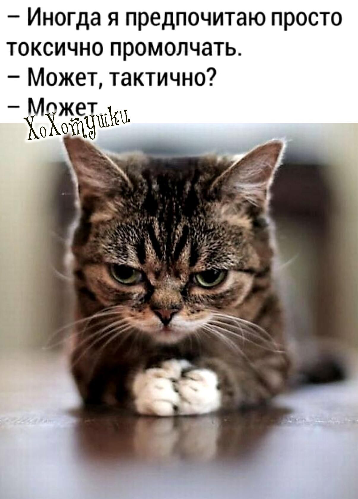Иногда я предпочитаю просто токсично промолчать Может тактично