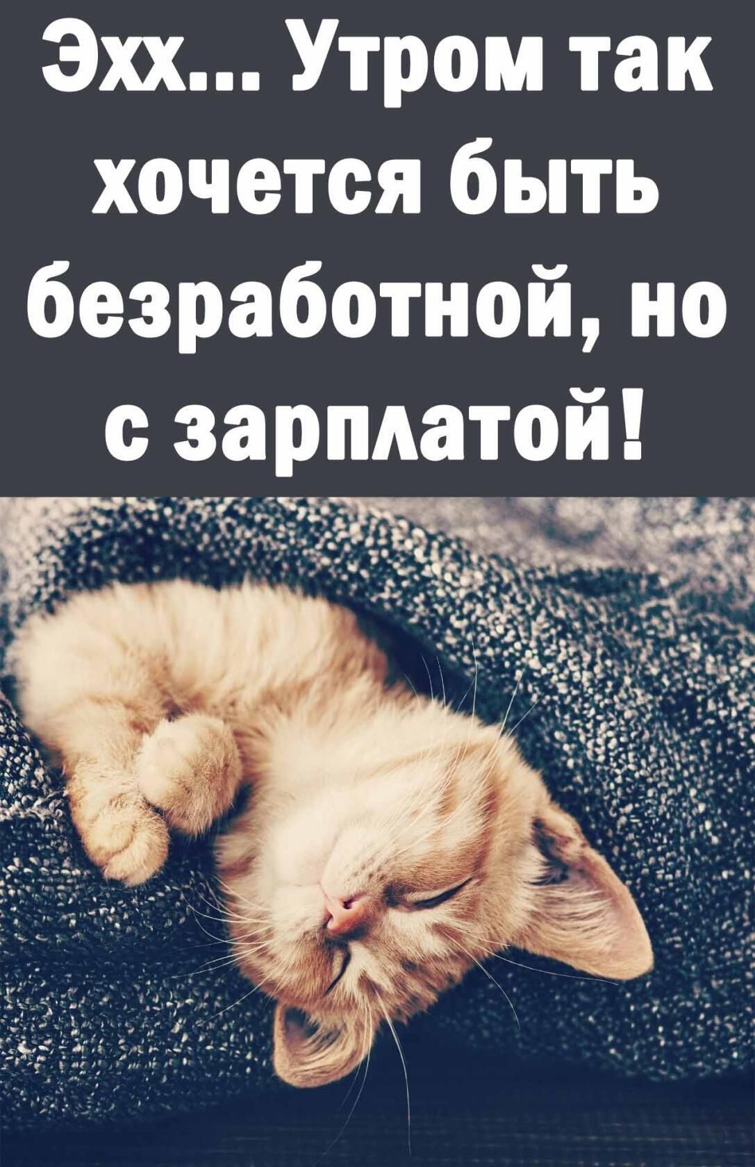 Эхх Утром так хочется быть безработно й зарплатам