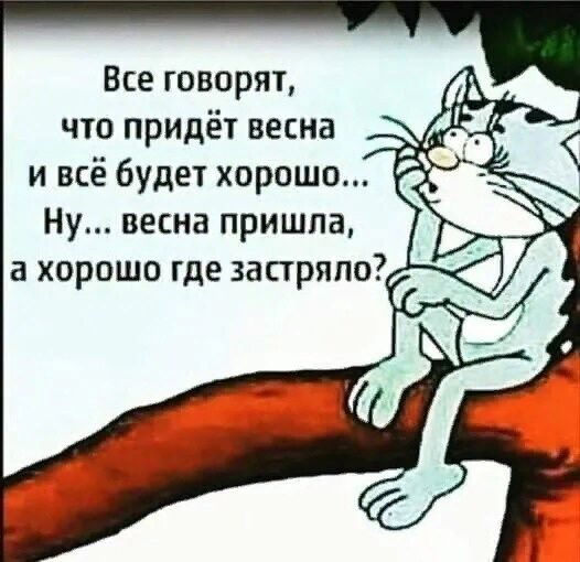 Все говорят что придёт весна и всё 6уде1 хорошо Ну весна пришла а хорошо где застряло