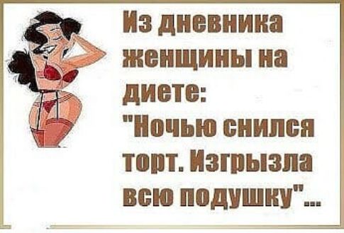 Из дневника женщины на диете ночью снился тош Изшызпа всю подушку