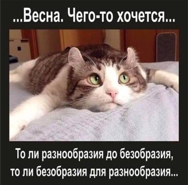 Весна Чего то хочется То ли разнообразия до безобразия то ли безобразия для разнообразия