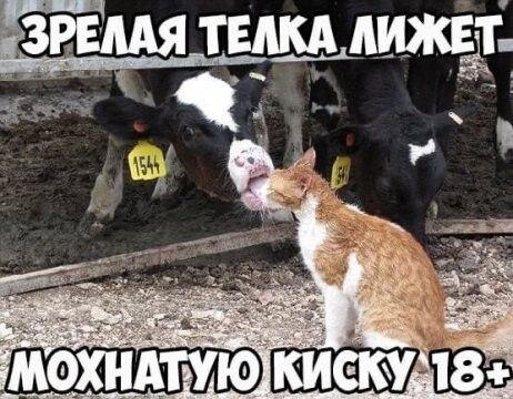Пг__ зимщшщё