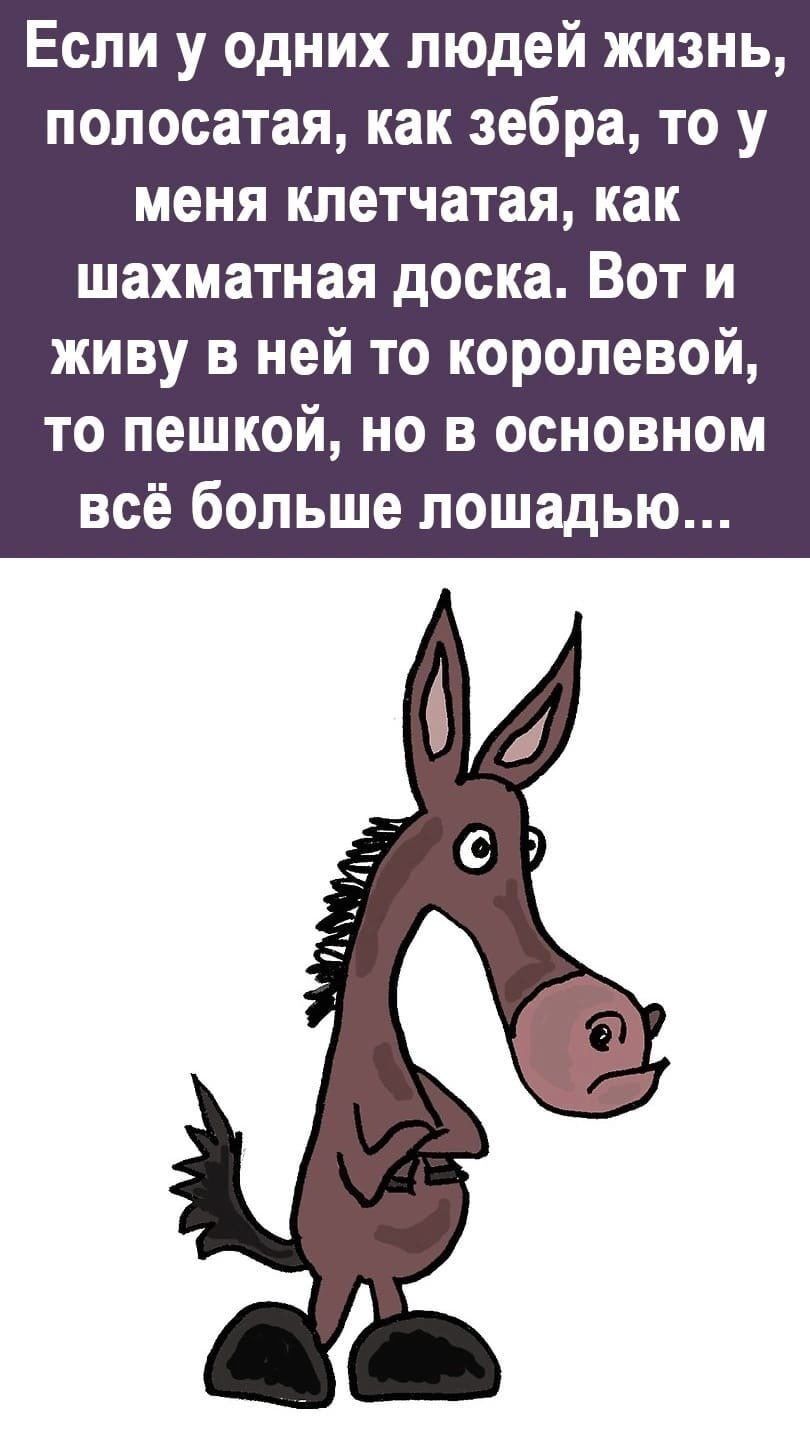 Если у одних людей жизнь полосатая как зебра то у меня клетчатая как шахматная доска Вот и живу в ней то королевой то пешкой но в основном всё больше лошадью