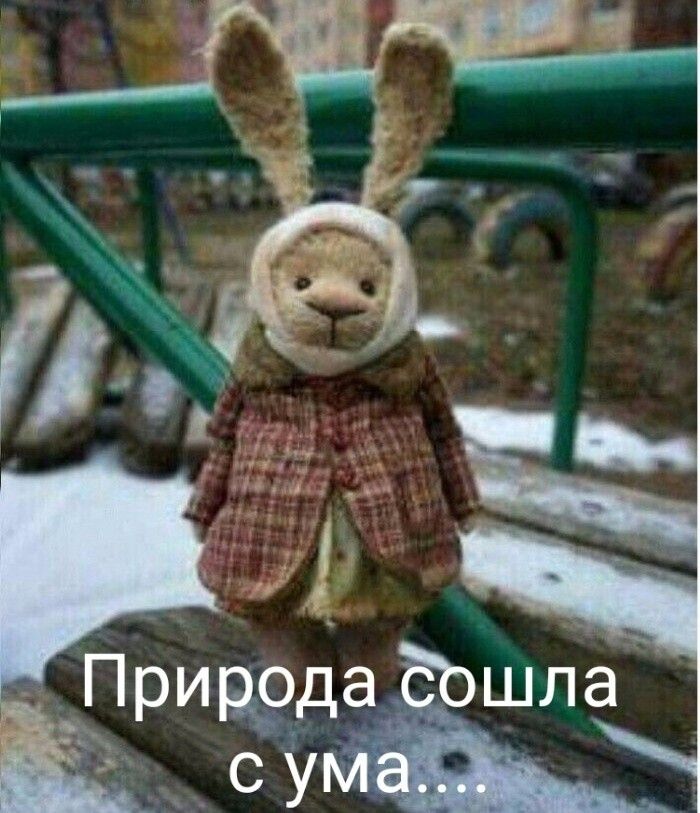 Прид9да Ёшла СУ _