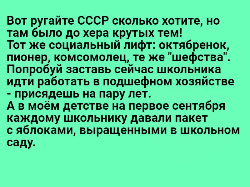 Вот ругайте СССР сколько хотите но там было до хера крутых тем Тот же социальный лифт октябренок пионер комсомолец те же шефства Попробуй заставь сейчас школьника идти работать в подшефном хозяйстве присядешь на пару лет А в моём детстве на первое сентября каждому школьнику давали пакет с яблоками выращенными в школьном саду