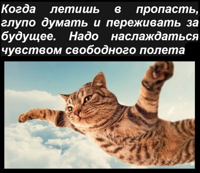 Когда летишь в пропасть глупо думать и переживать за будущее Надо наслаждаться чувством свободного полета