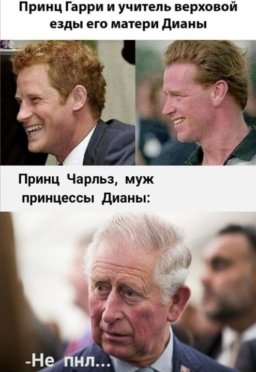 Принц Гарри и учитель верховой езды его матери диаиы Принц Ча рпьз муж принцессы дианы