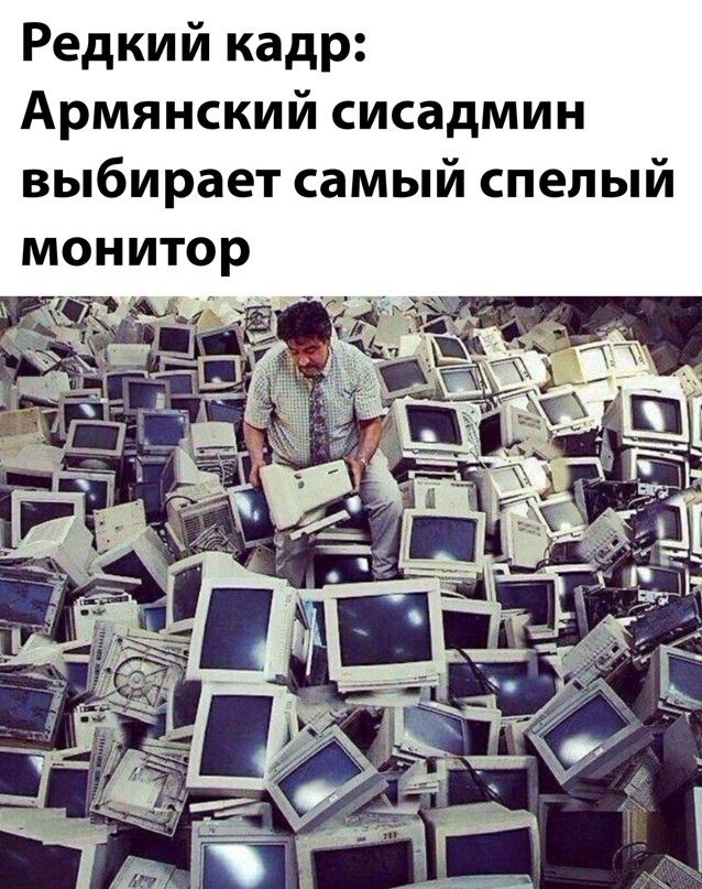 Редкий кадр Армянский сисадмин выбирает самый спелый монитор
