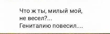 Что жты милый мой не весеп Гениталию повесил
